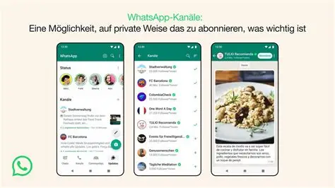 安卓手机如何安全下载WhatsApp官方版?