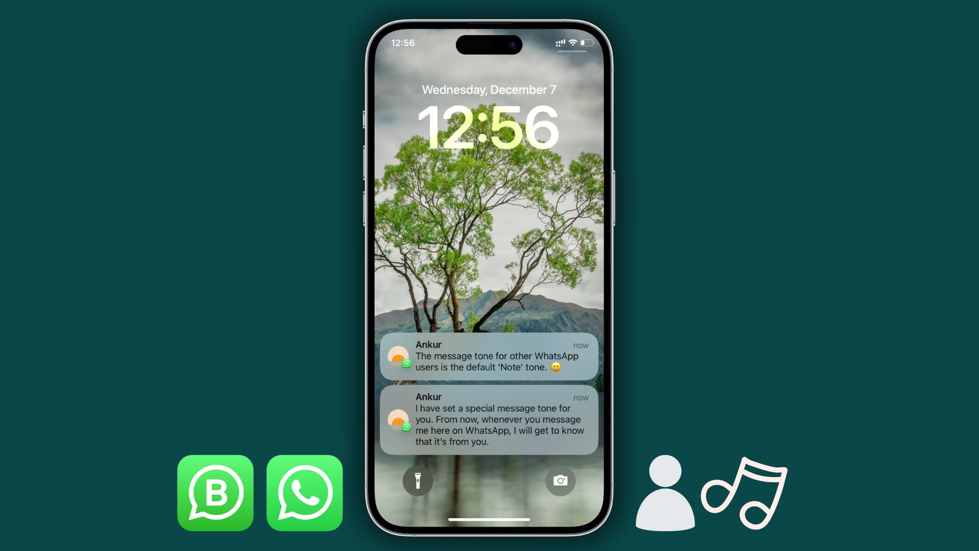 WhatsApp电脑版怎么用?手把手教你同步手机聊天记录